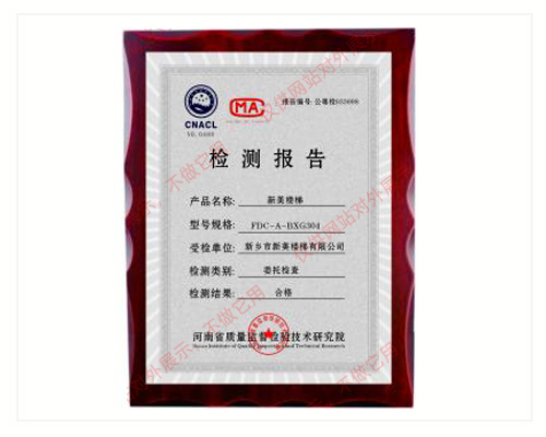 檢測報告